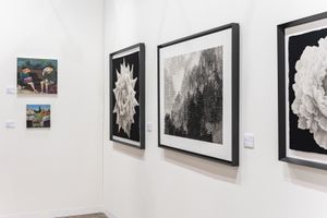 <a href='/art-galleries/alisan-fine-arts/' target='_blank'>Alisan Fine Arts</a>, Art Basel in Hong Kong (27–29 May 2022). Courtesy Ocula. Photo: Anakin Yeung.